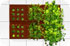 Growkit/ 2004