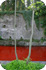 eau de source/2006