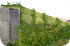 Maison dans les Vignes/ Frontignan/ 2004